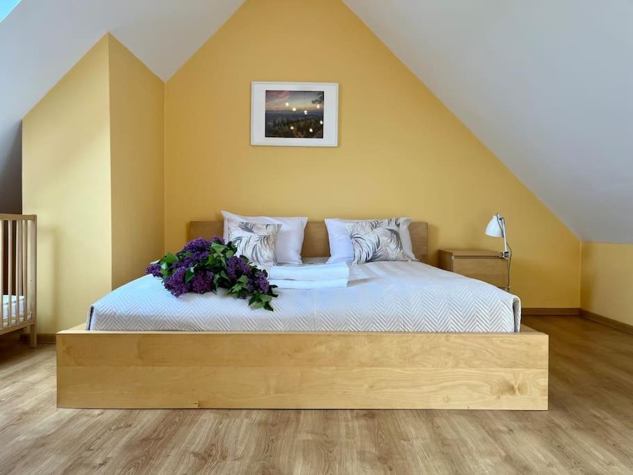 Apartament Hemingwaya Jelenia Gora Luaran gambar