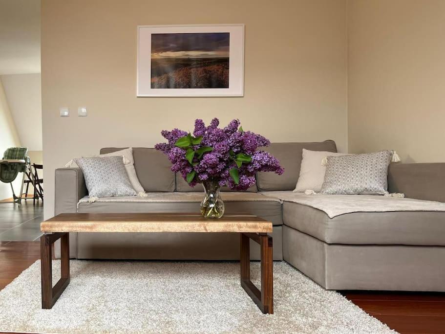 Apartament Hemingwaya Jelenia Gora Luaran gambar