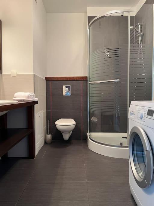 Apartament Hemingwaya Jelenia Gora Luaran gambar